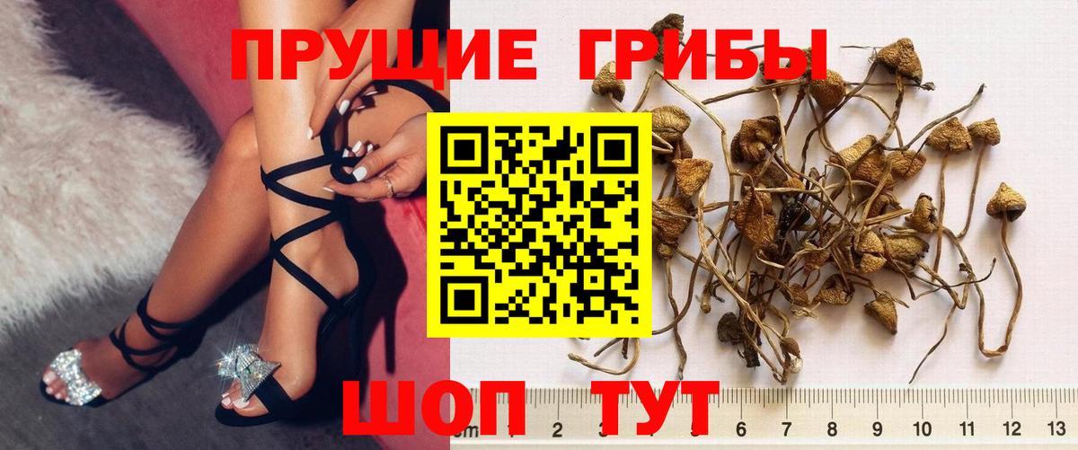 Псилоцибиновые грибы прущие грибы Белогорск